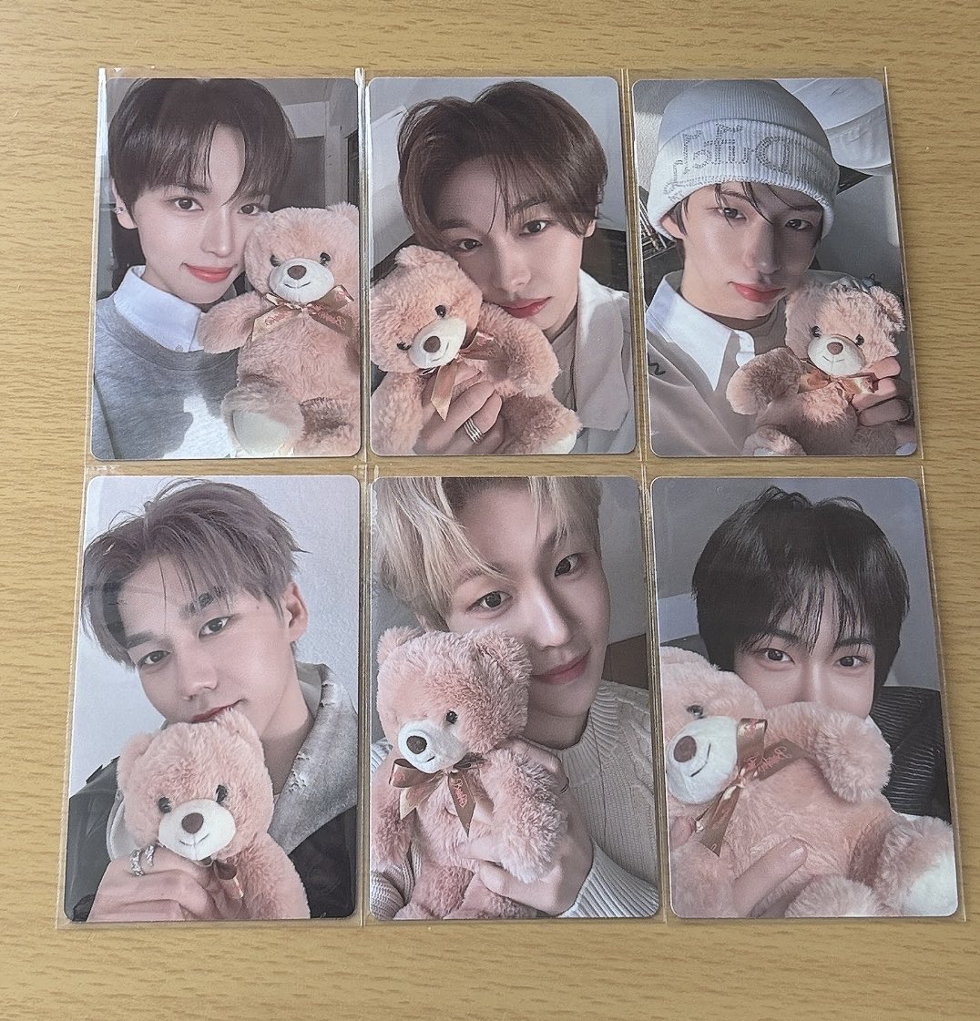 🐻‍❄️ tweet media