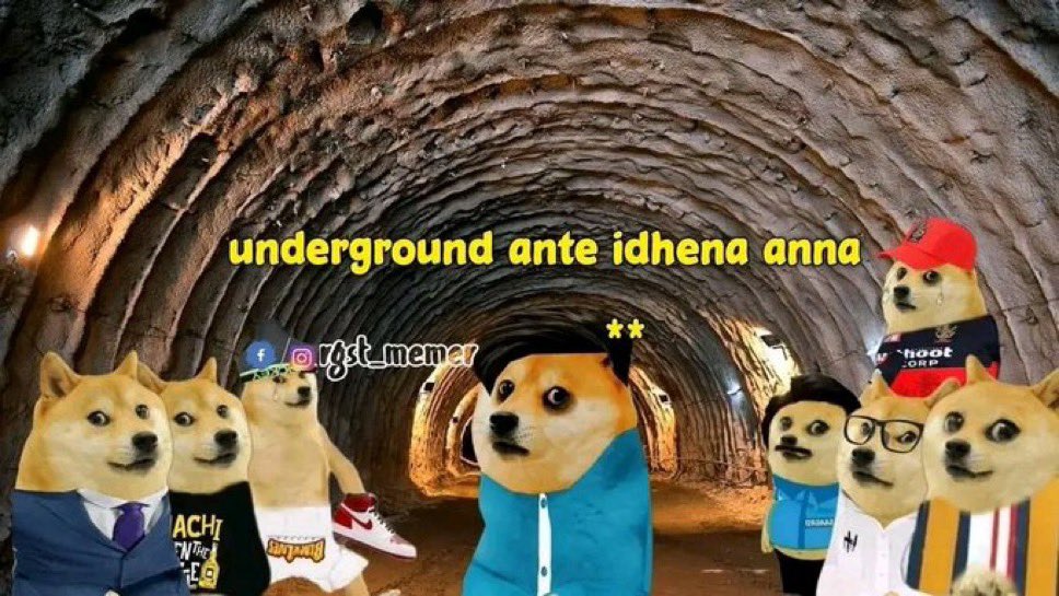 𝙏𝙃𝙀 𝙑𝙀𝘿 𝘾𝙐𝙏𝙎 tweet media