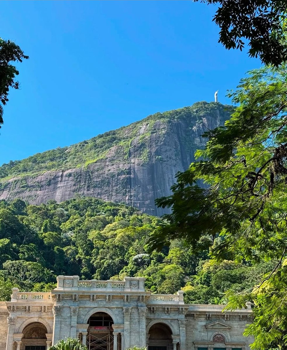 jusbella™ tweet media