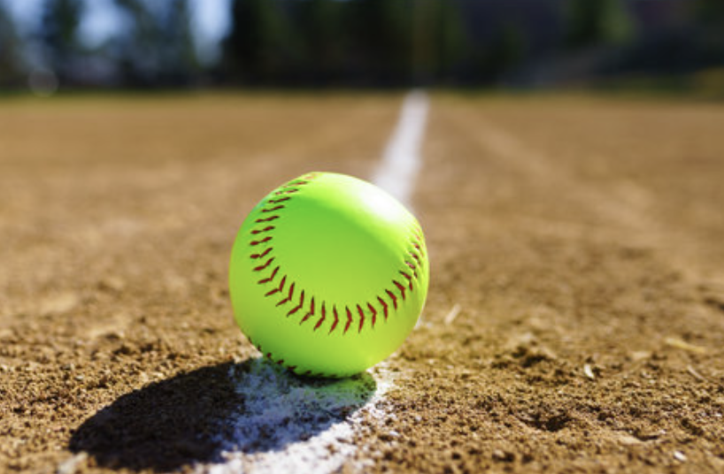 CHIP SOUZA | WholeHog Sports Network tweet media