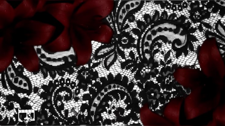 apolo 𒂭 tweet media