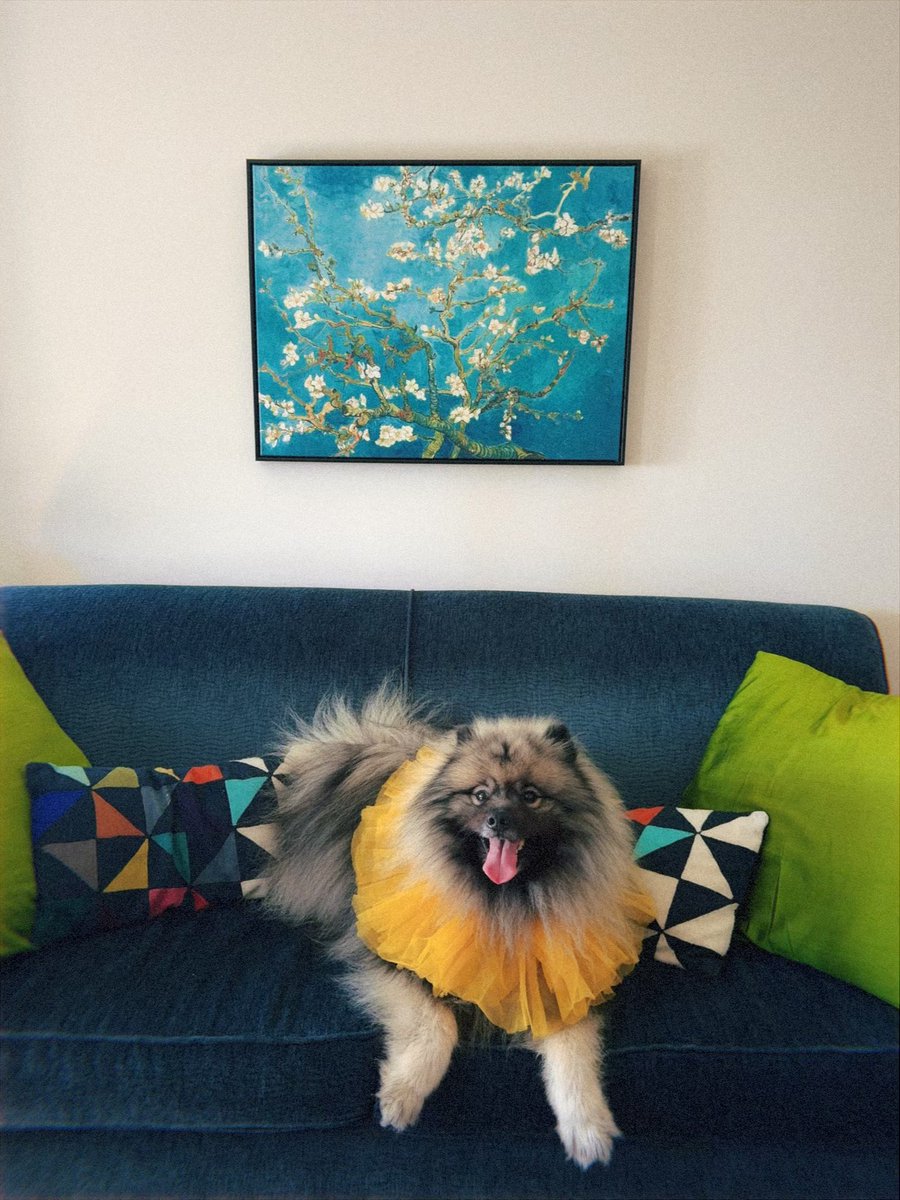 ᴘᴀᴠʟᴏᴠ ᴛʜᴇ ᴄᴏʀɢɪ tweet media