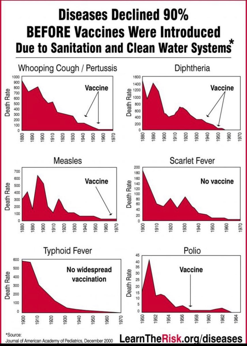10% for the Big Guy tweet media