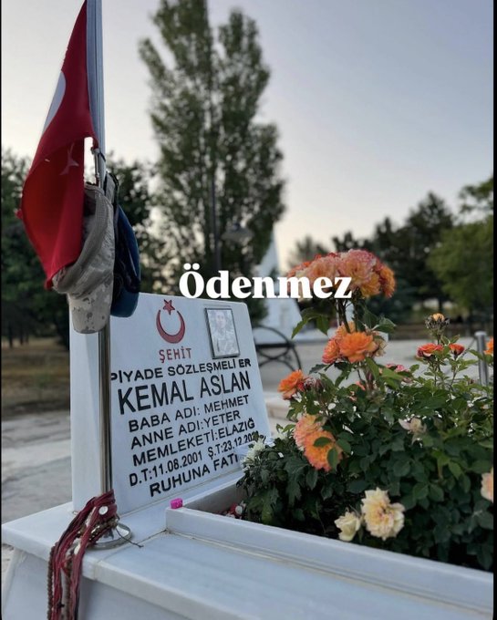 Tigin Bey tweet media