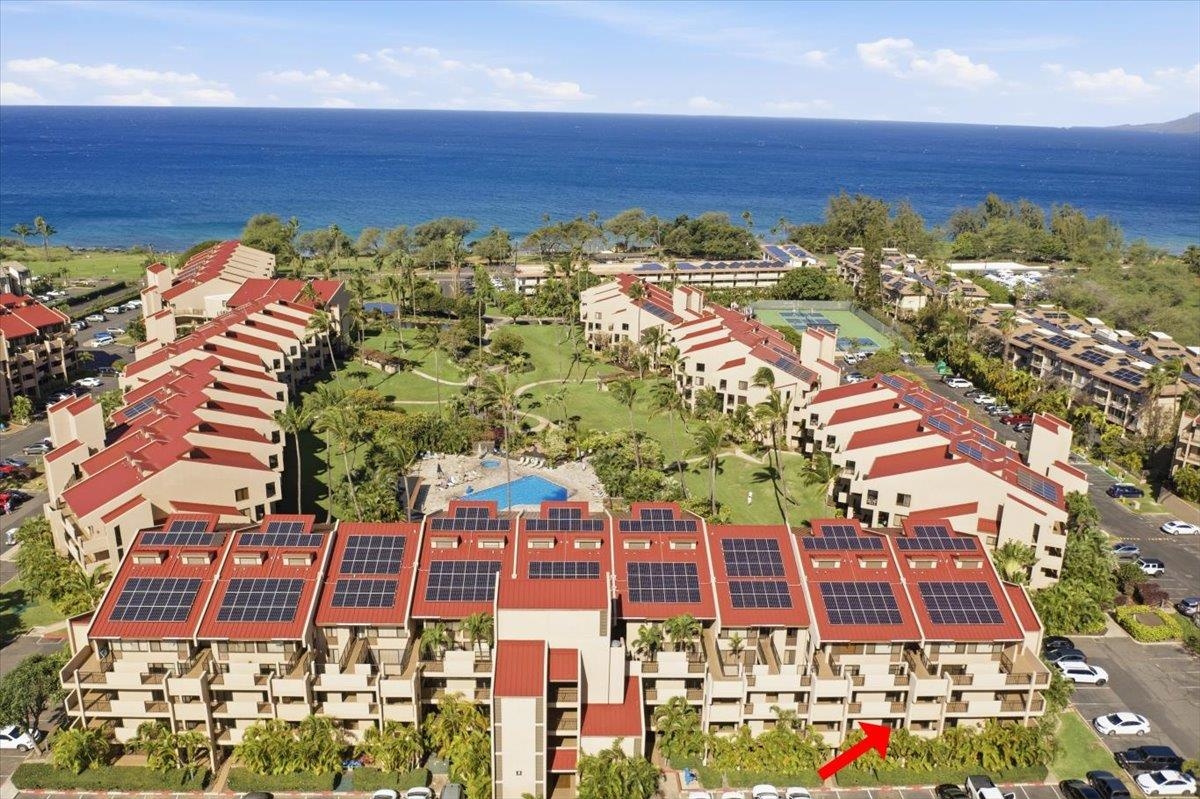 Hawaiʻi Life tweet media