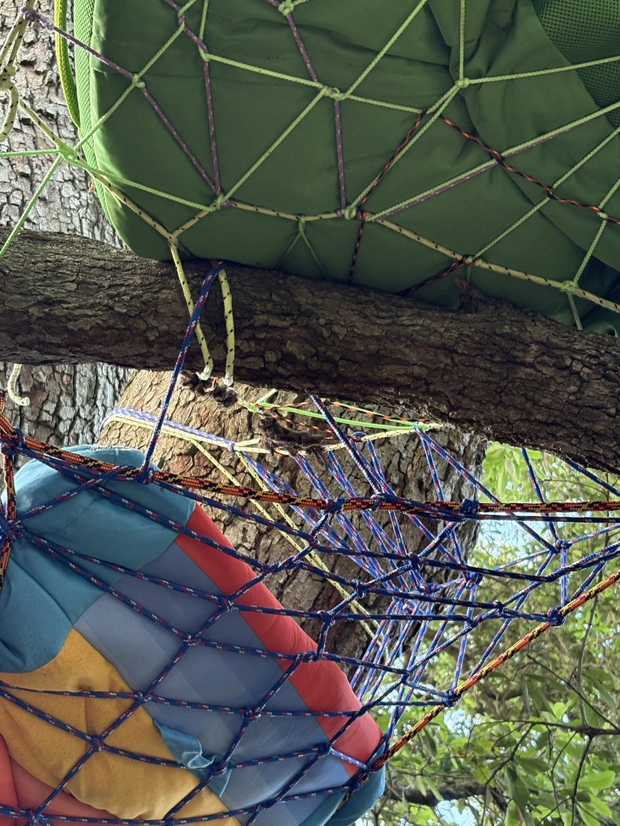 Cajun Kugel tweet media