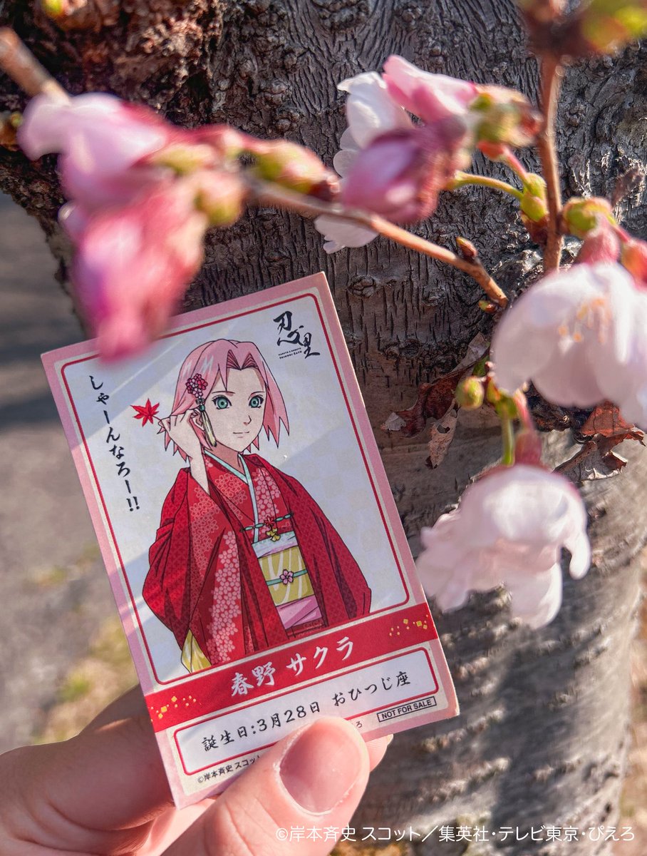 【公式】NARUTO＆BORUTO 忍里(SHINOBI-ZATO) tweet media