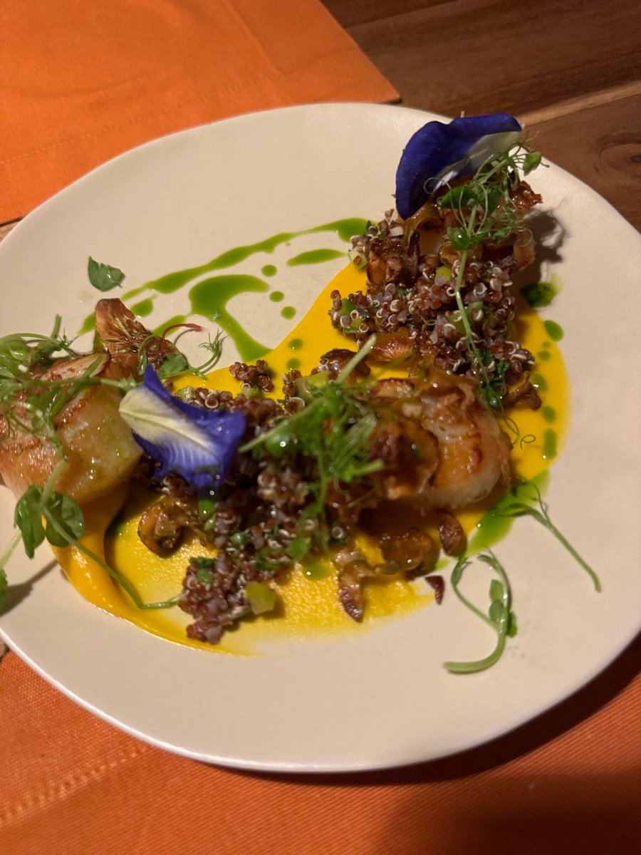 edward biocic tweet media