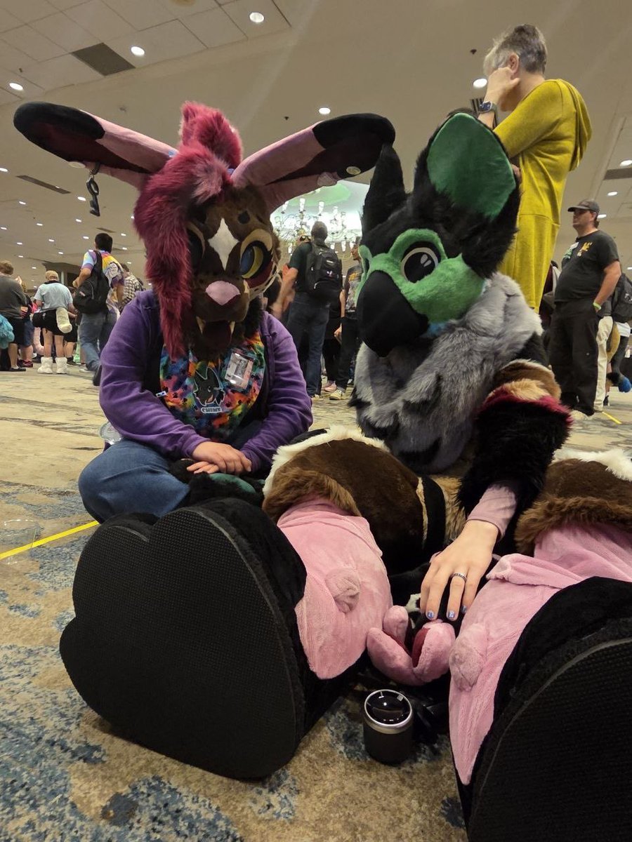 ✨Robotic Creature✨@TFF26 tweet media