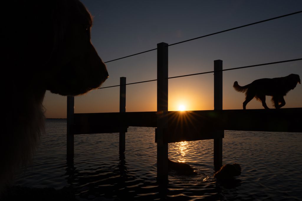 The Golden Ratio tweet media