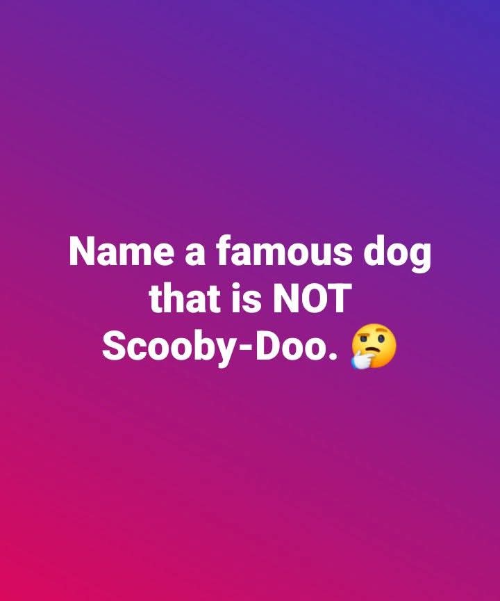 Elizabeth❣️ tweet media