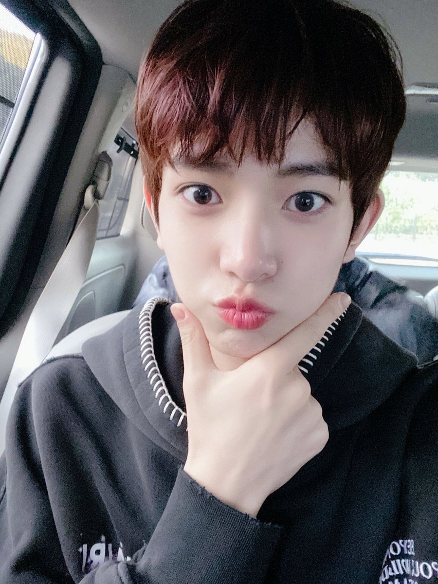 tofii | Enhypen is 7 tweet media