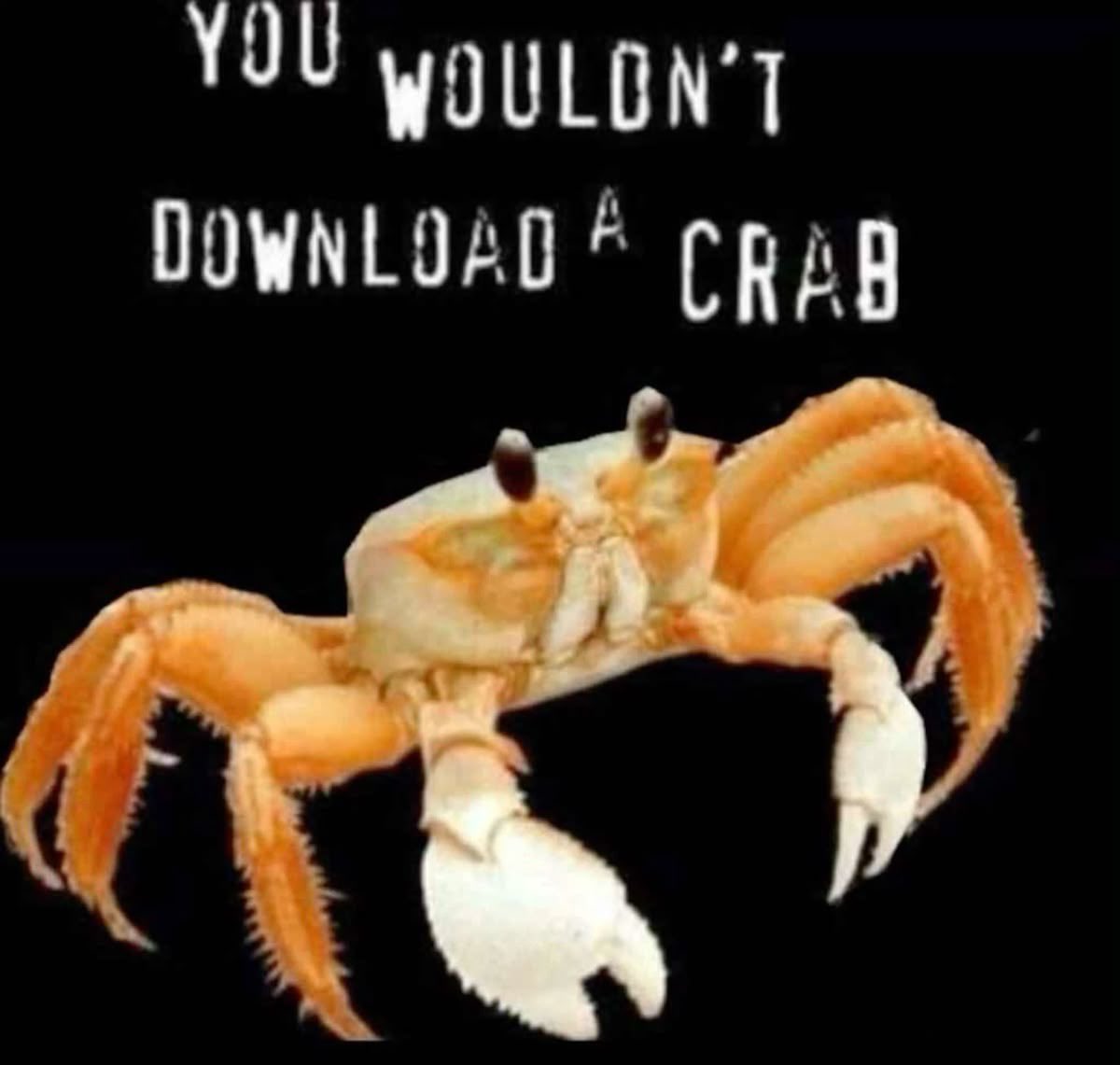 coffin!🐾🦴 tweet media