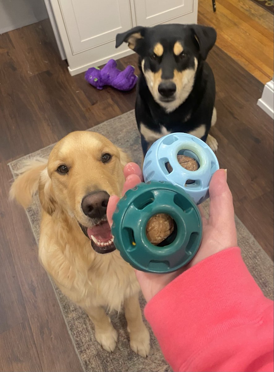 Only in Bucks County tweet media