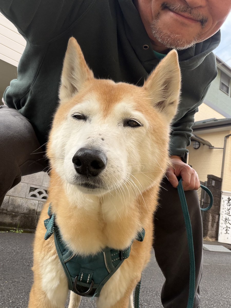 MAX渡辺 tweet media