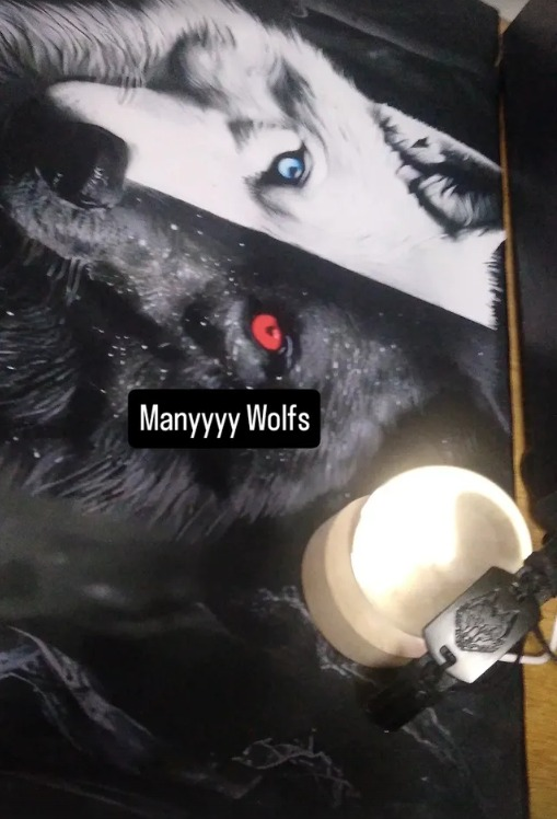 wolfkerg's tweet photo. Hi everyone, yesterday was my birthday. I hate to post this and say it, but it was one of the worst birthdays I've ever had. Even so, my friends gave me gifts and saved me from crying all day. I'll share more drawings and photos of my gifts soon, which I really appreciate! https://t.co/TtGTPEP3ID
