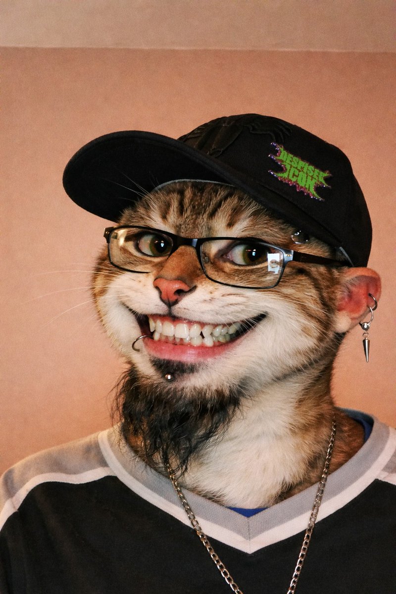 Shipwrek Carlton tweet media