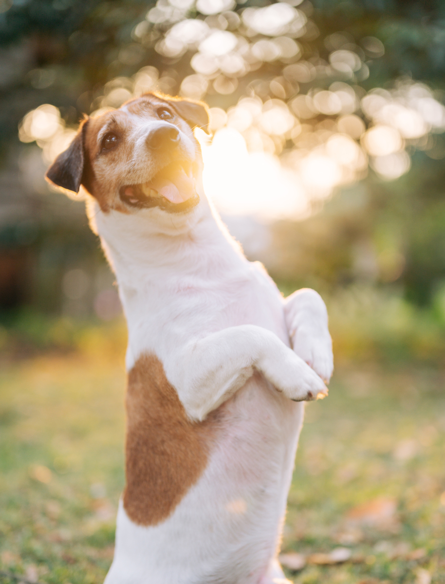 Shitij Gupta tweet media