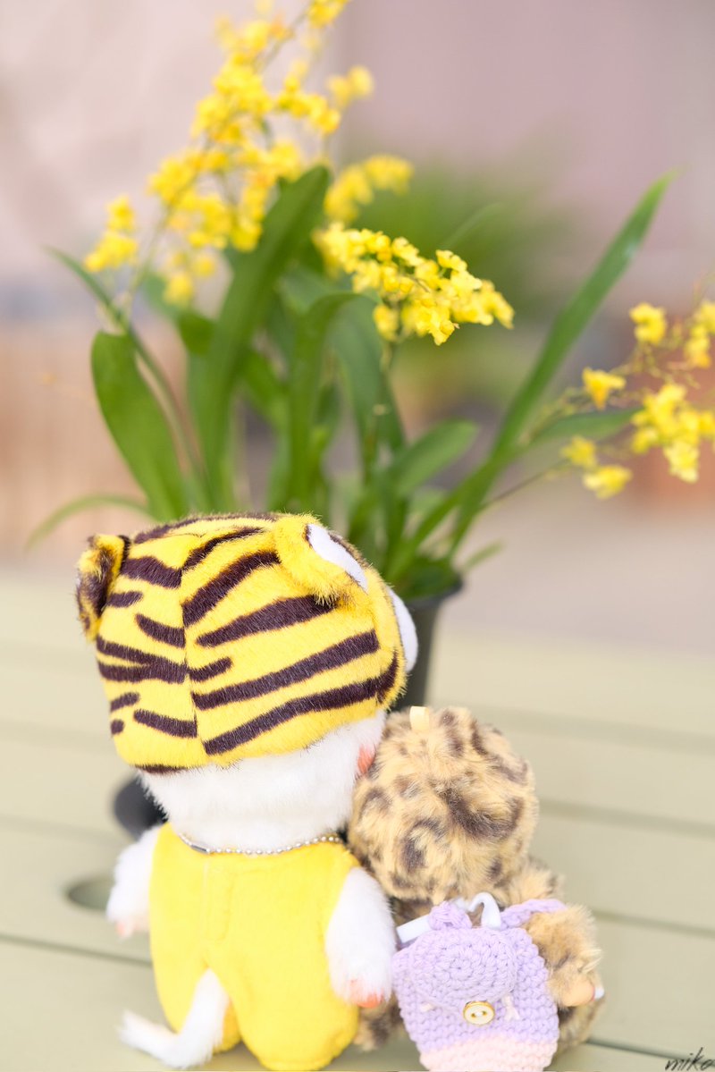 🎂さつまいモン🎂 tweet media