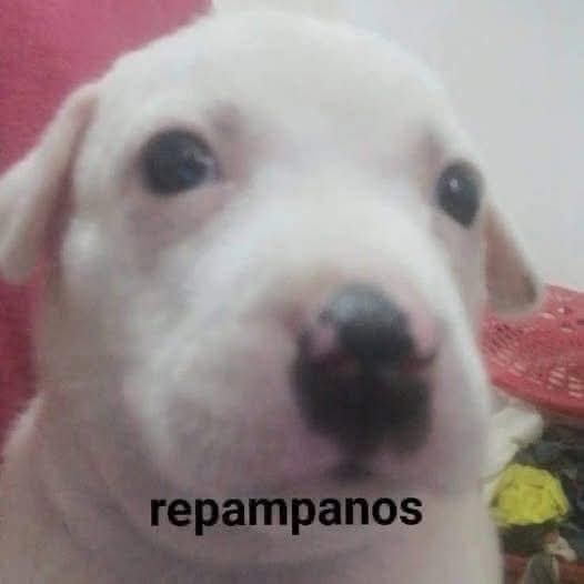 ClumsyBurd tweet media