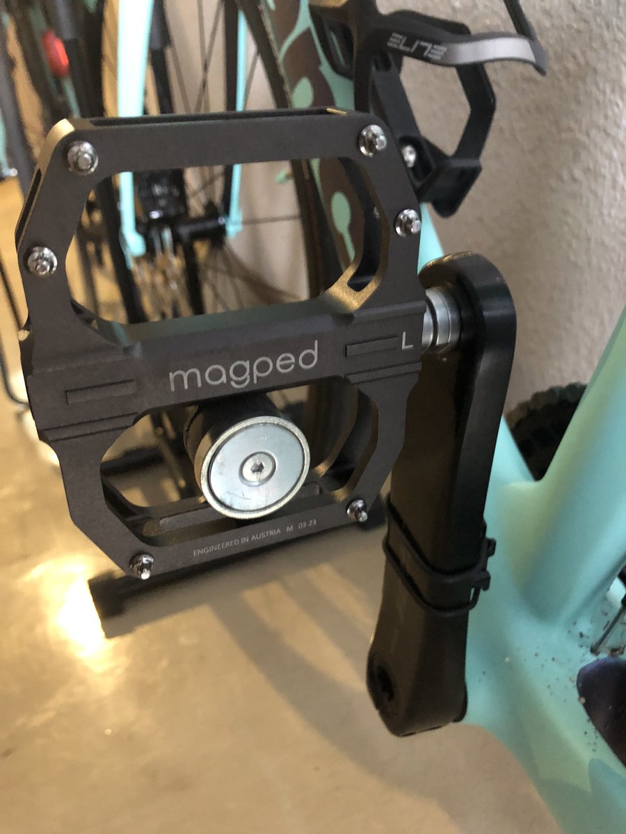 ふゆんきびあんき@202603実走はじめました tweet media