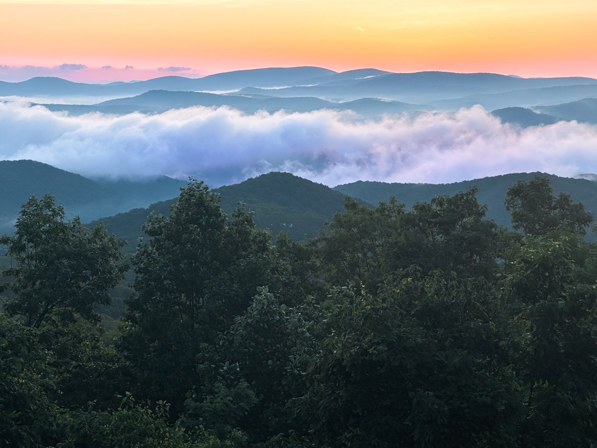 ThinkOfDave tweet media