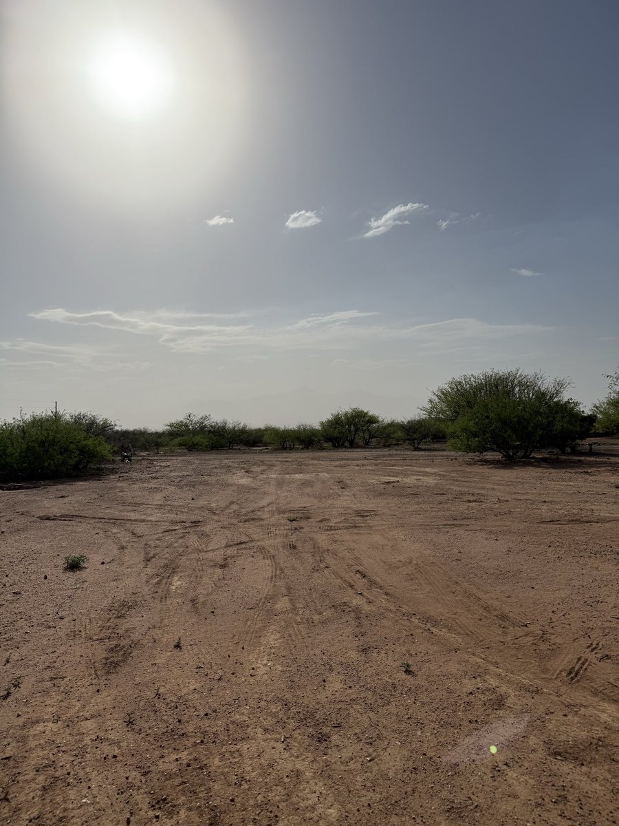 Alaina Catssadine's Cursed Cat Café tweet media