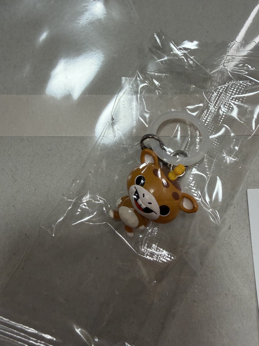 yokko-tama☆ tweet media