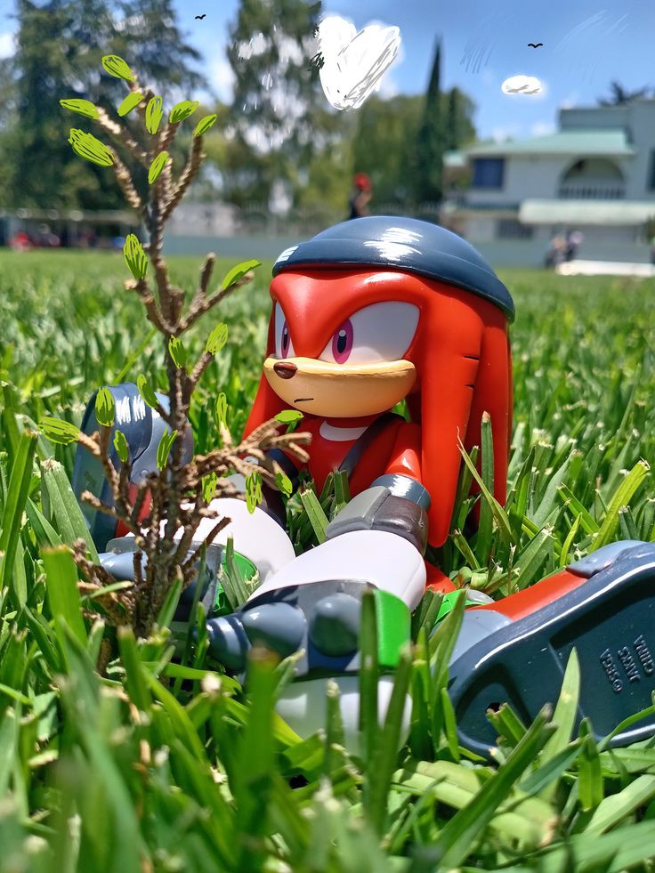 Anko Graves tweet media