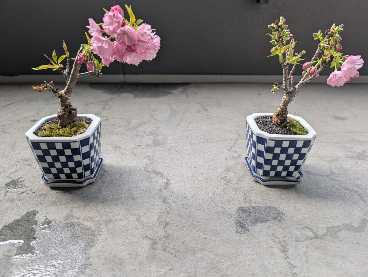 ローカル経理マン（元ローカル銀行員） tweet media