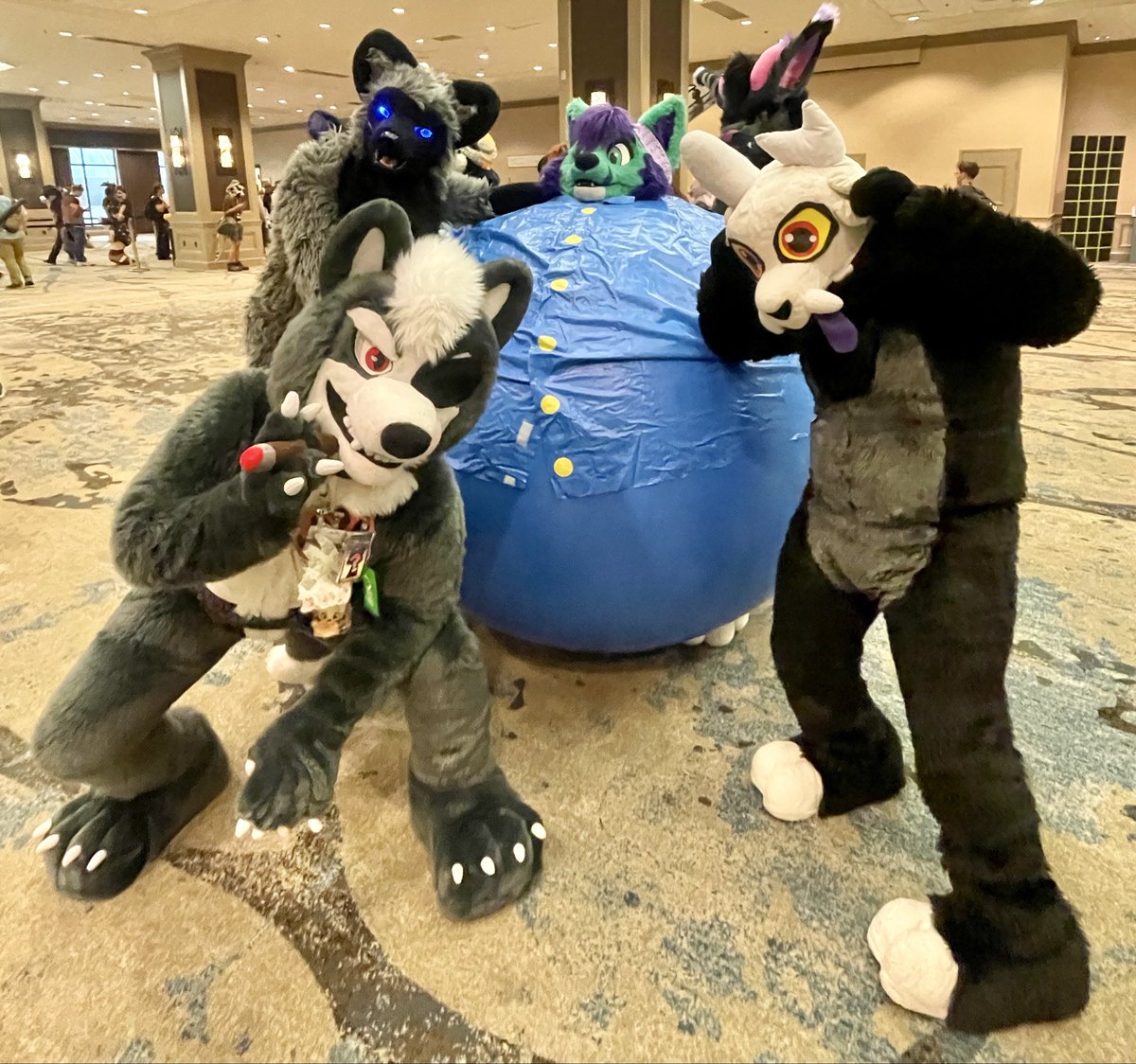 minstrelbill's tweet photo. Met a fur at #TFF2016 who didn’t watch the Charlie and the Chocolate Factory movie and unfortunately got turned into a giant blueberry. With @SiegeDaWolfsky and @GGamez96393 https://t.co/jk6S6ovjG4