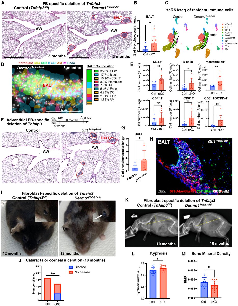 Waggoner Lab tweet media