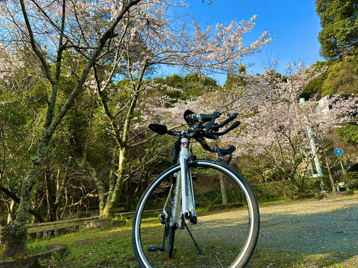 ろく@GT🫛 tweet media