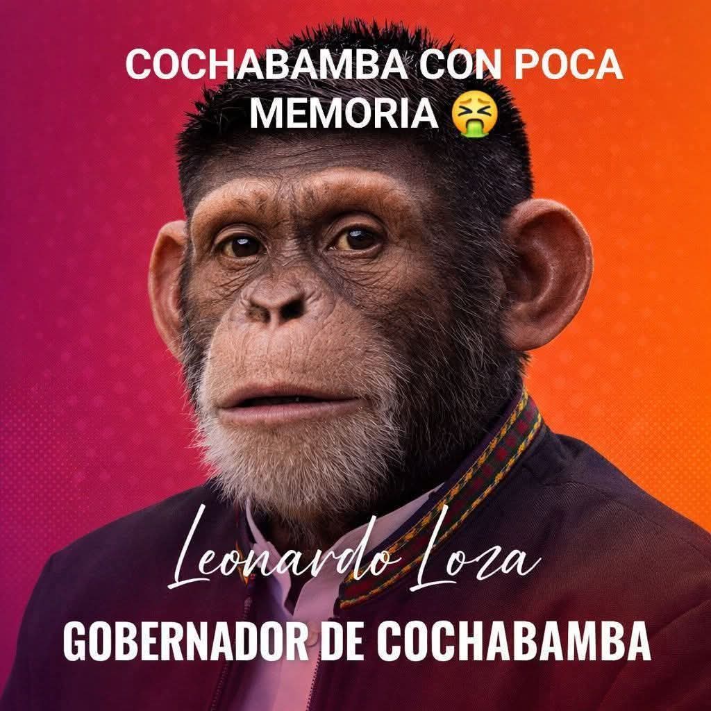 BolivianTiger🇧🇴 tweet media