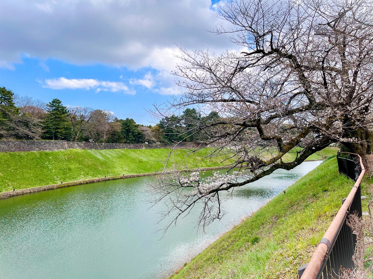 SAK. 🎙️ tweet media