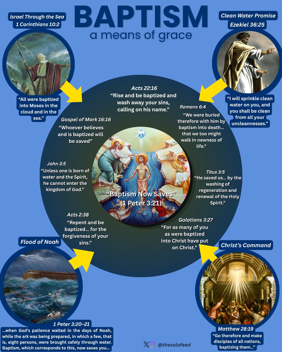 TheSolaFeed 🦬 tweet media