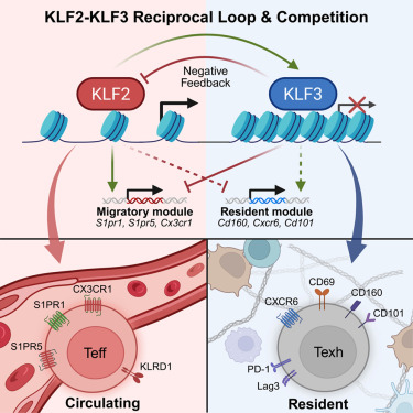 Waggoner Lab tweet media