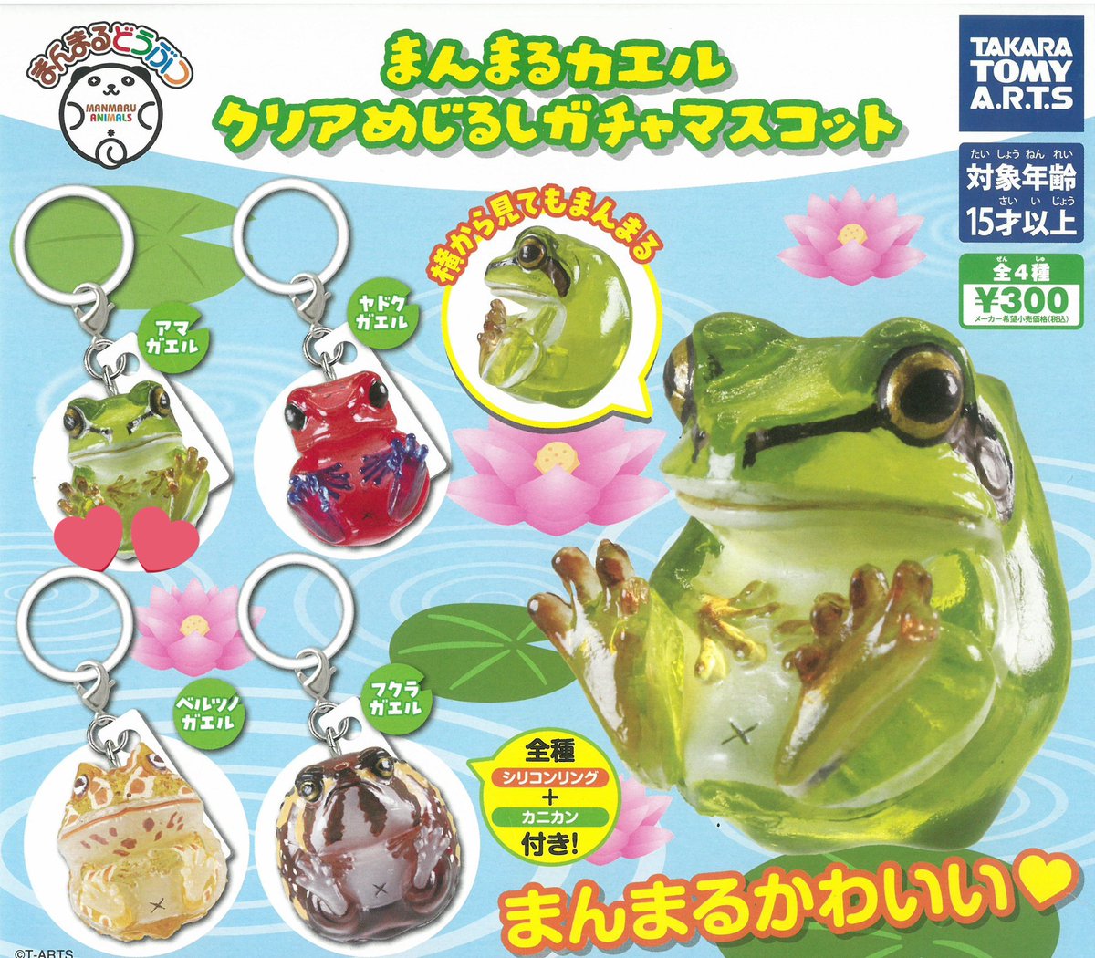 まんまるカエル クリアめじるし ガチャマスコット
[交換]

(譲)ベルツノガエル

(求)アマガエル 画像2枚目💕

郵送希望です。
宜しくお願い致します。