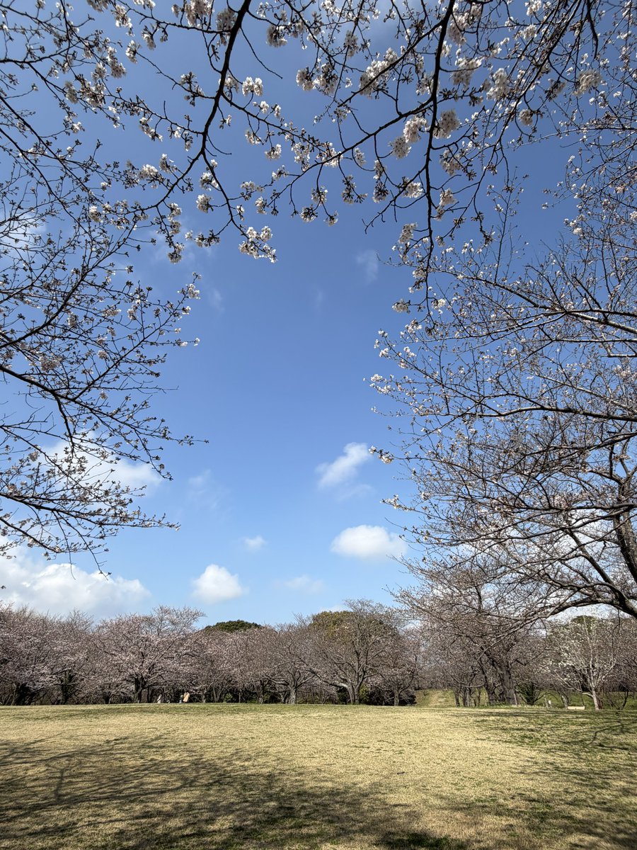 すぬーぱんだ tweet media