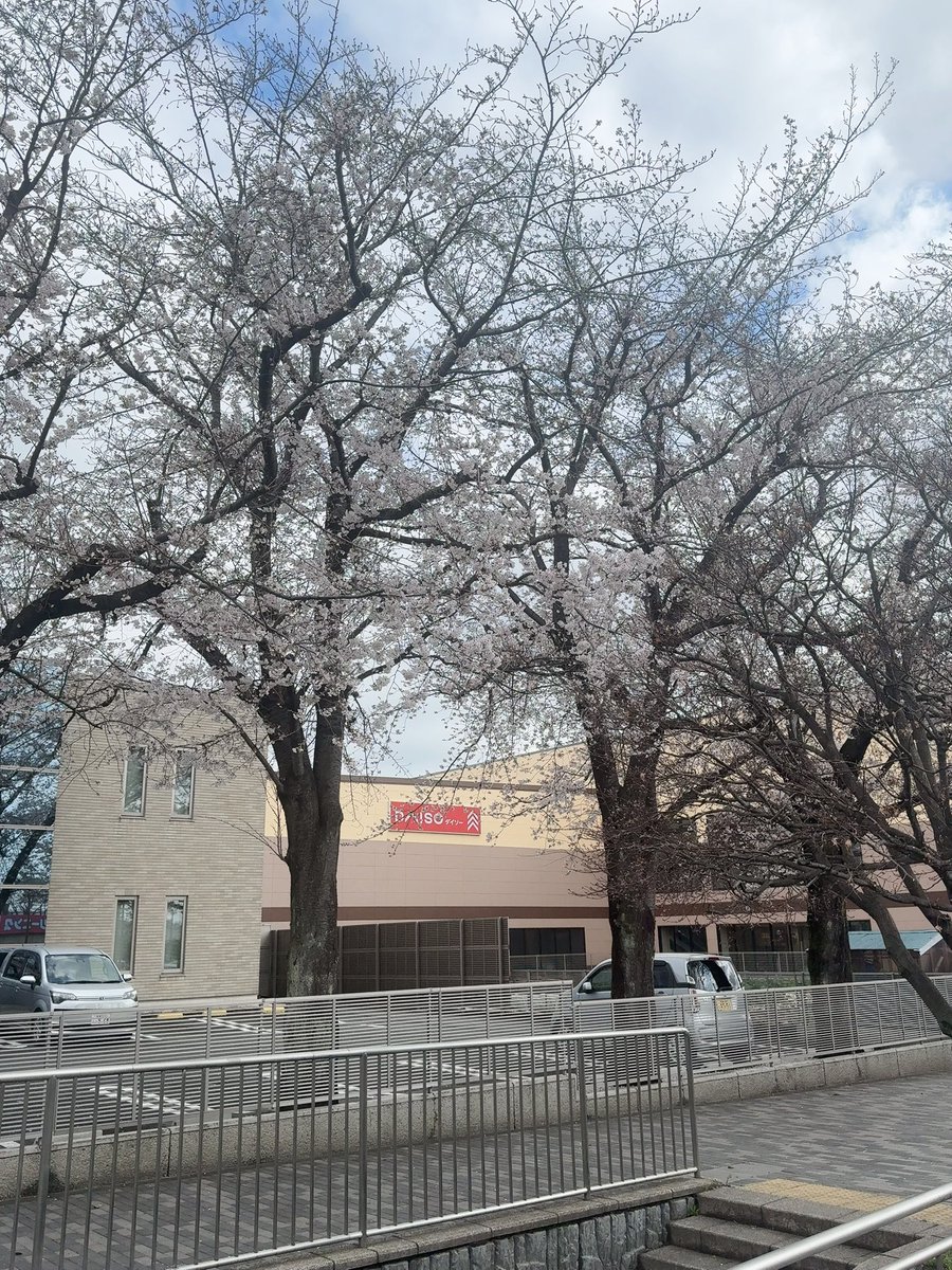 がるぼ tweet media