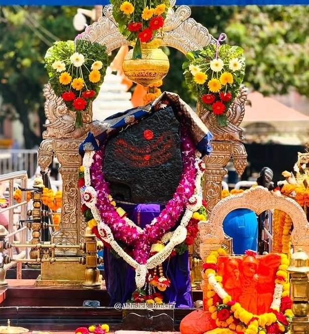 🙏ॐ नीलांजनसमाभासं रविपुत्रं यमाग्रजम। 
छायामार्तण्डसम्भूतं तं नमामि शनैश्चरम् ।
जय शनिदेव 
        🌺शुभ शनिवार🌿🙏🏻