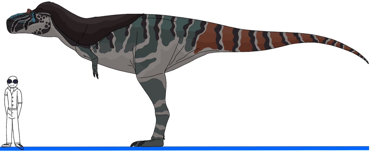 SolanTHM69420's tweet image. Another animal joining sector 001 is Albertosaurus temperovenator, My own GMO Albertosaurus 
#specevo #speculativeevolution #GMO