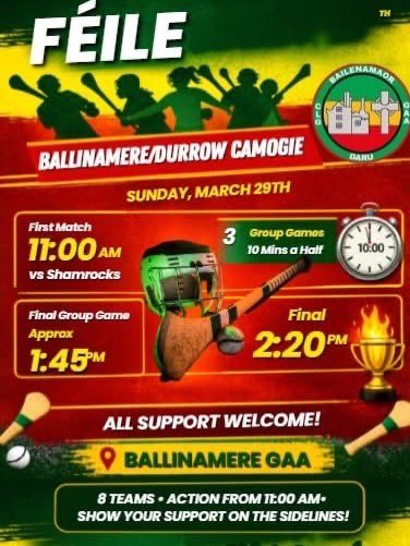 Ballinamere/Durrow GAA, LGFA & Camogie tweet media