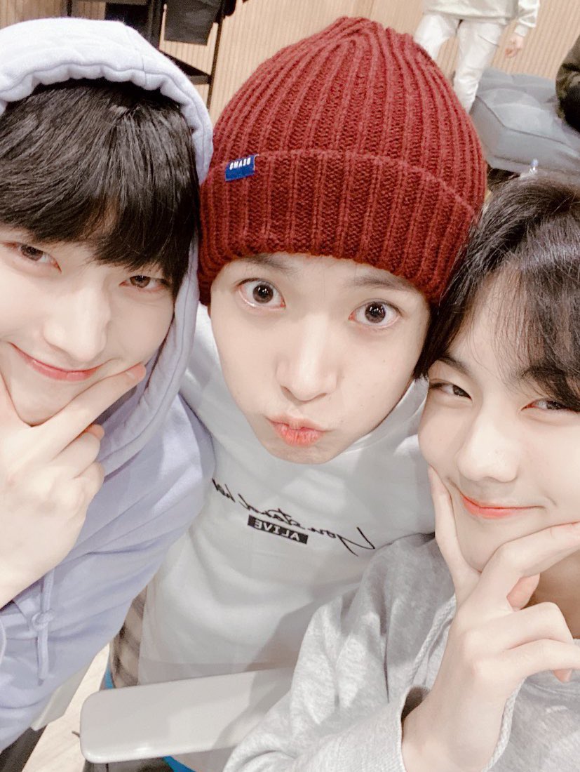 nana ୨ৎ ENHYPEN IS 7 tweet media