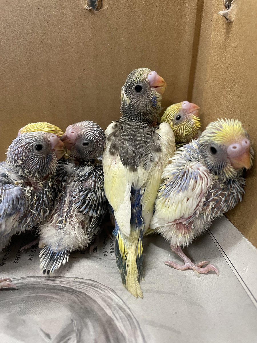 おはようございます。
今日もよろしくお願いします。