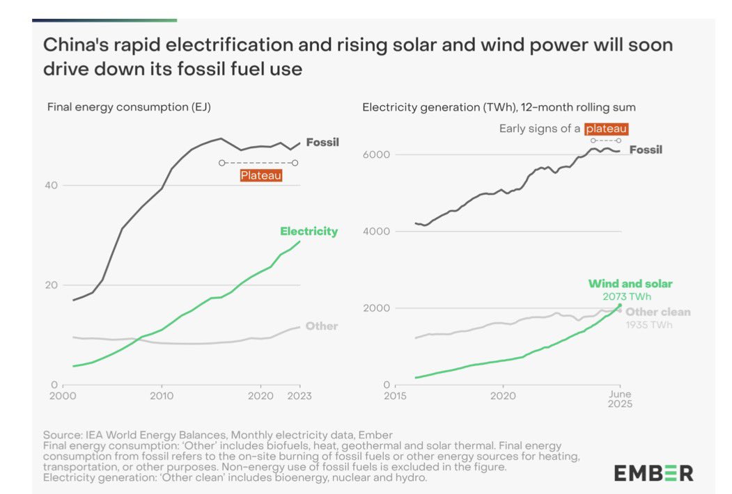 💧 David Mitchell tweet media