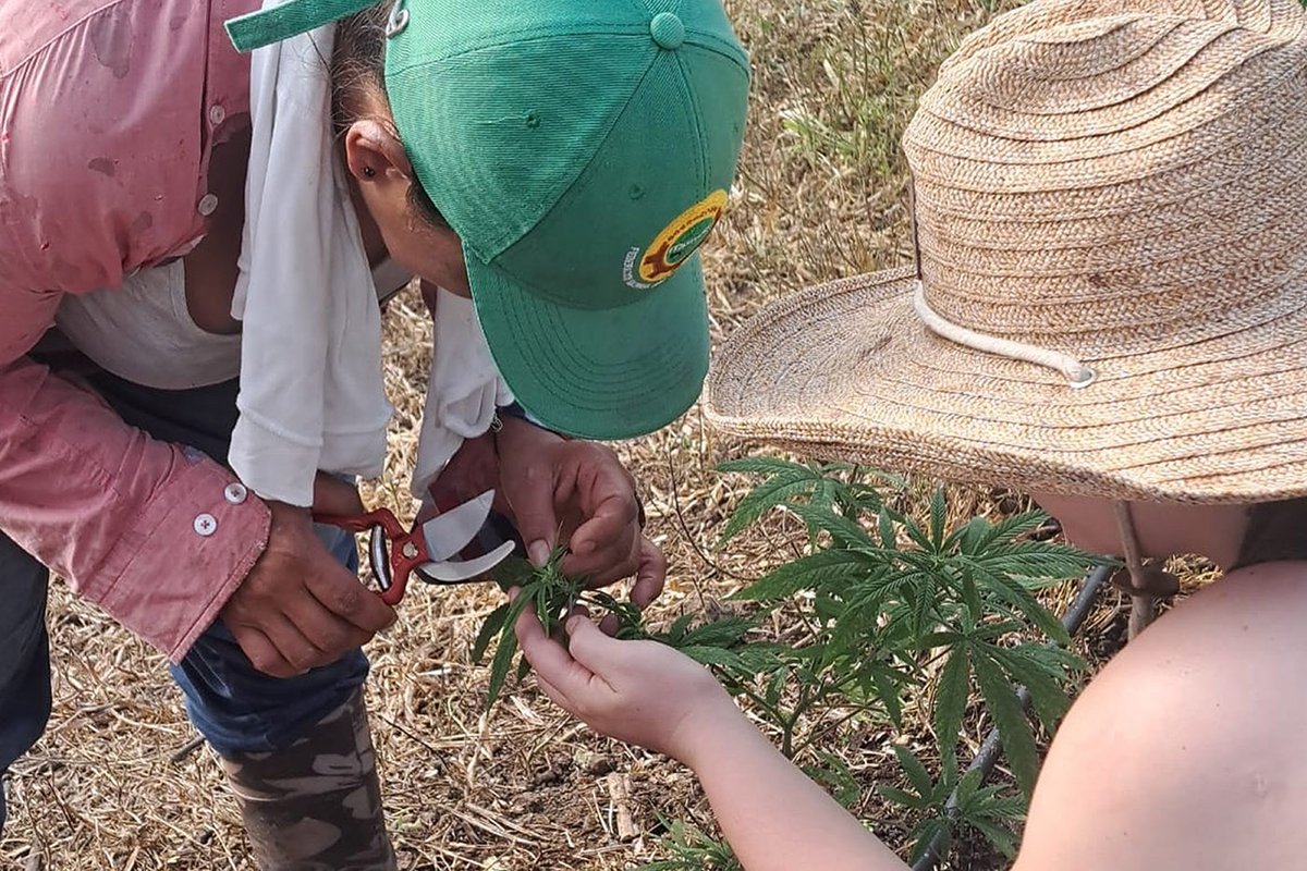 Universidad Nacional de Colombia tweet media