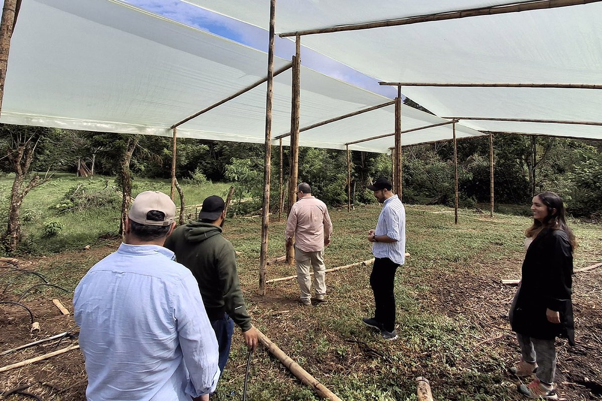 Universidad Nacional de Colombia tweet media