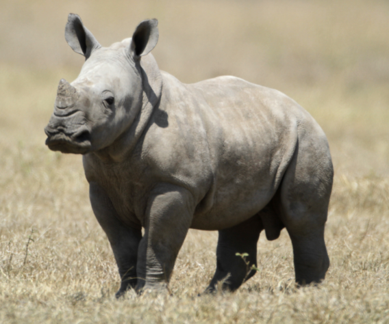 Metaellihead 🇺🇸 🏔️ tweet media