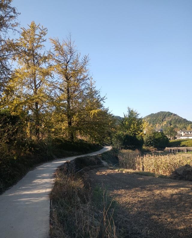 Line Jadot tweet media